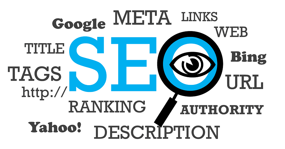 CArte SEo- domina motoarele de cautare