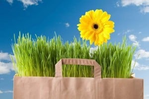 Reduceri cumparaturi Primavara 2021